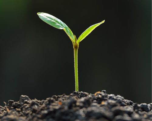 LifeCycle Featured imgae