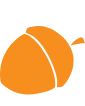 Acorn