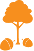 Tree and Acorns