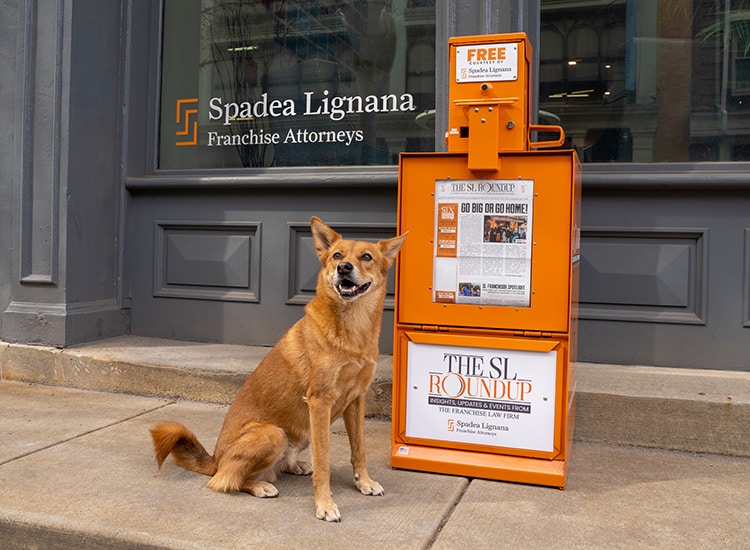 Dog with Paper Box