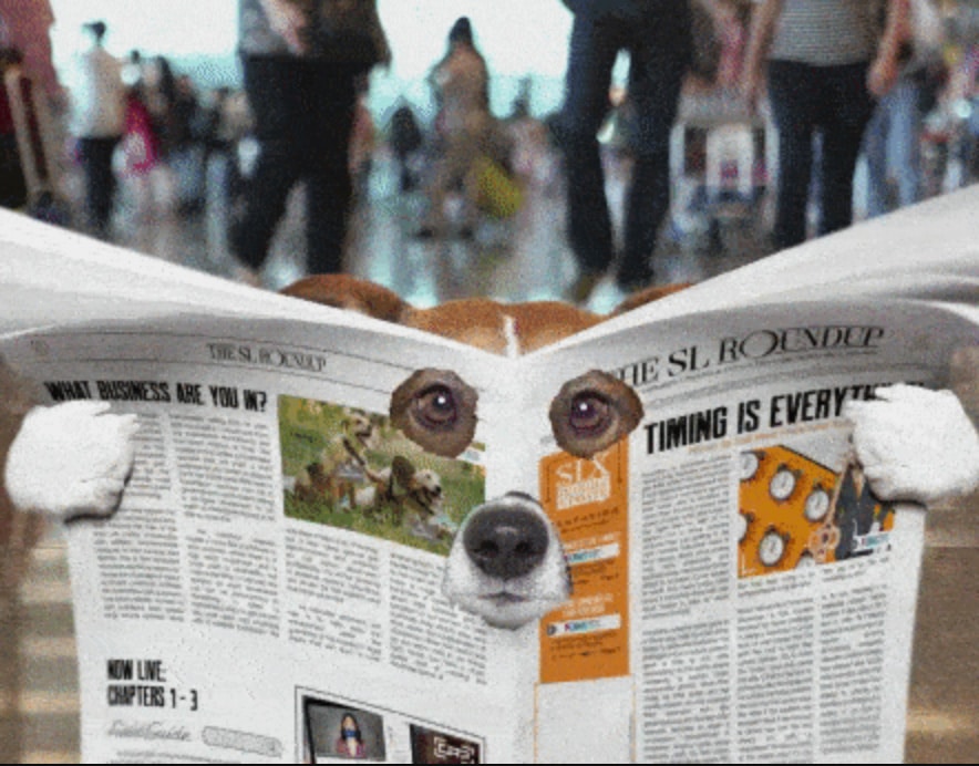 SL Roundup dog with newspaper